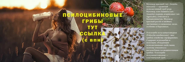 соль ск Сатка