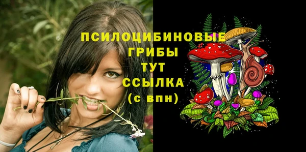 соль ск Сатка