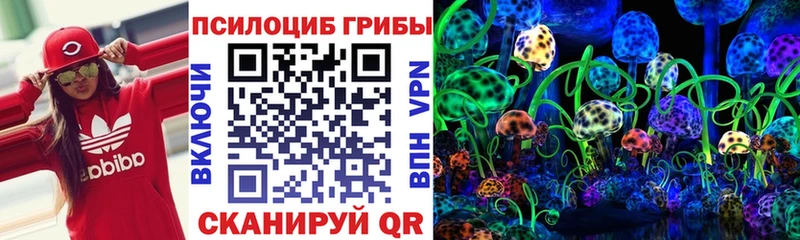 Псилоцибиновые грибы мухоморы Шимановск