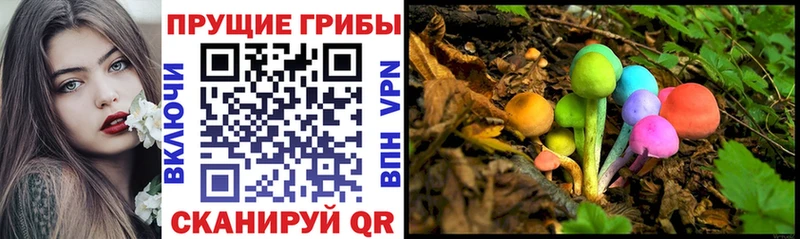 Псилоцибиновые грибы Psilocybe  Шимановск 